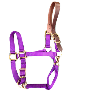 Breakaway Halter