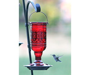 red bottle hummingbird feeder