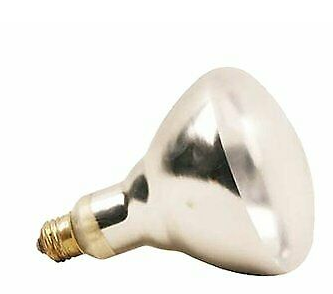 Florida Hardware Heat Lamp Bulb