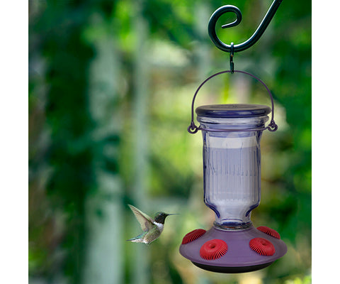 Perky Pet Lavender Field Top Fill Glass