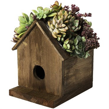 birdhouse with plants on top