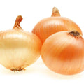 Golden Candy Hybrid onion seed set from The Mill, featuring fresh onion bulbs ready for planting in the garden.