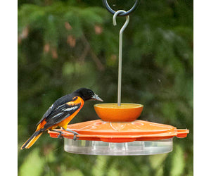 Classic Oriole Feeder