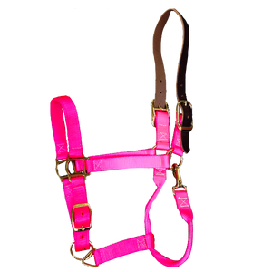 Breakaway Halter