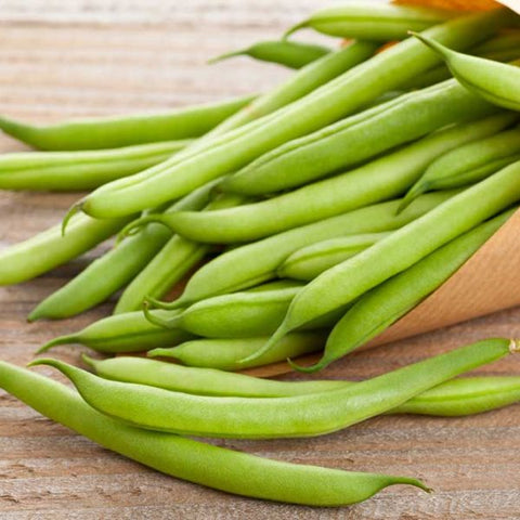 Blue Lake Pole Bean