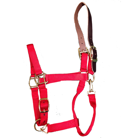 Breakaway Halter