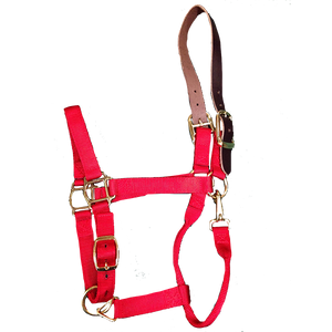 Breakaway Halter