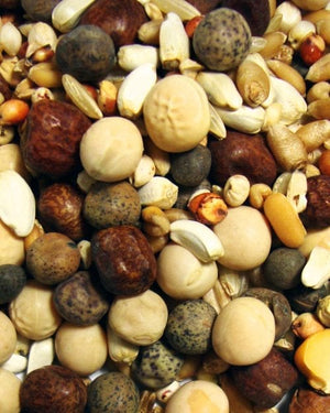 Rock Mix No Corn