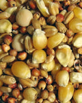 pigeon park popcorn feed picture