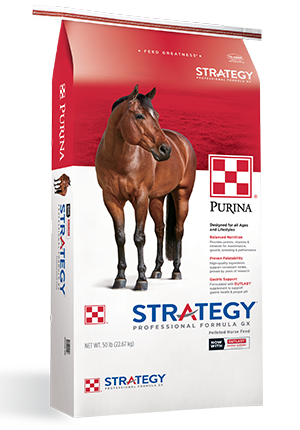 Purina Strategy Professional Formula