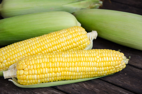 Sweet Corn