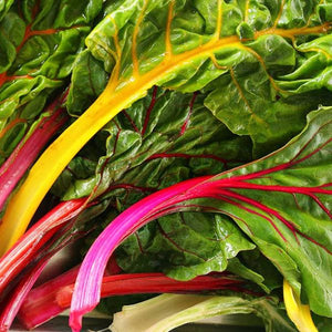 Bright Light Swiss Chard