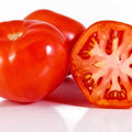 Super Sweet 100 Hybrid Tomato