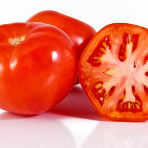 rutgers Tomato