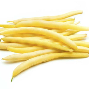 Pencil Pod Bush Bean