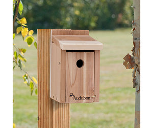 Audubon Cedar Wren/Chickadee Bird House